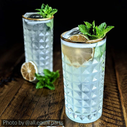 Mojito in an amehla co. gold rimmed highball collins glass. Photo by @all.equal.parts.